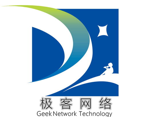 福建極客網(wǎng)絡(luò)科技 技術(shù)驅(qū)動創(chuàng)新，數(shù)字賦能未來