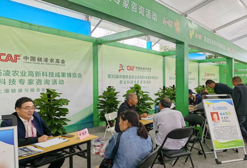第三十屆中國(guó)楊凌農(nóng)業(yè)高新科技成果博覽會(huì)開(kāi)幕，聚焦前沿技術(shù)與創(chuàng)新咨詢